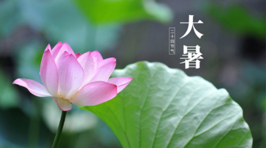 大暑時(shí)節(jié)！金環(huán)電器提醒大家注意這些干衣細(xì)節(jié)