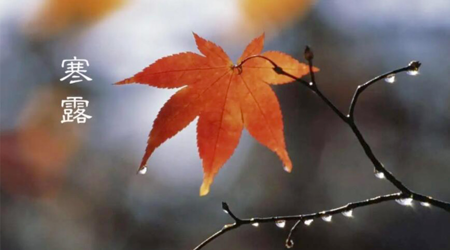 寒露時(shí)節(jié)！金環(huán)電器提醒大家要注意的事項(xiàng)