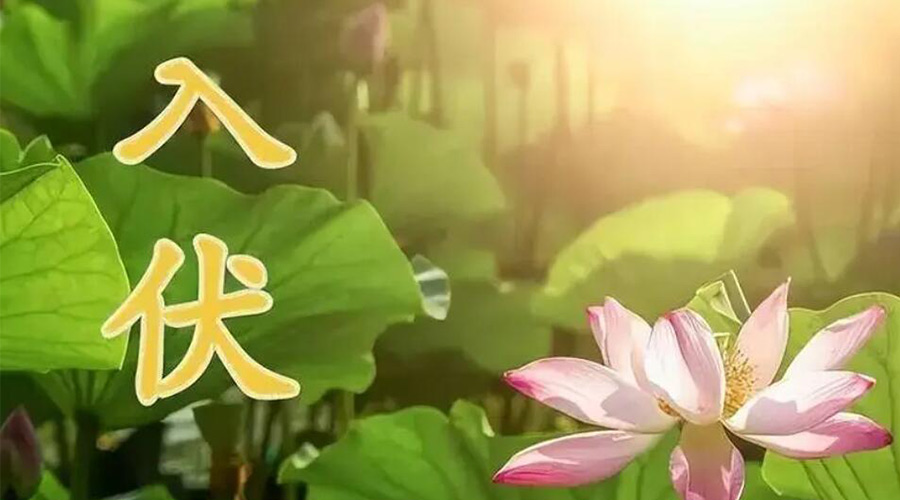 入伏天來襲！金環(huán)電器提醒大家要注意的事項(xiàng)