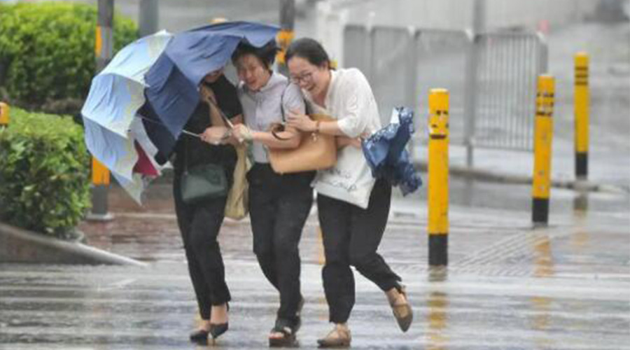 家有衣物烘干機(jī)，無懼臺(tái)風(fēng)天吹走和淋濕衣物！