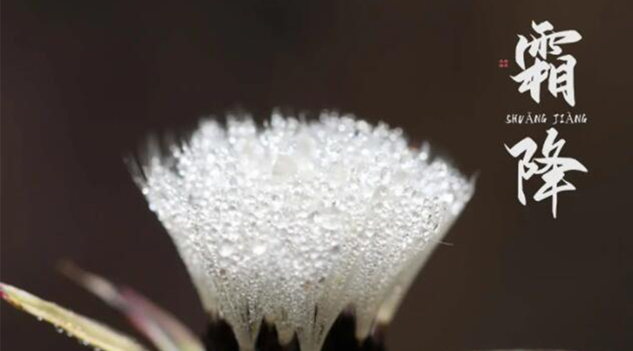 霜降時(shí)節(jié)！金環(huán)電器提醒大家要注意的事項(xiàng)