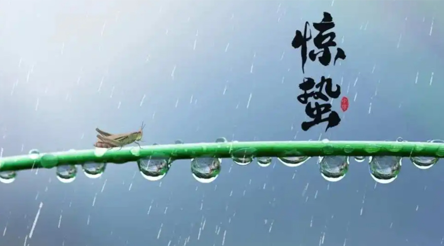 驚蟄時節(jié)！金環(huán)電器提醒大家干衣要注意這些