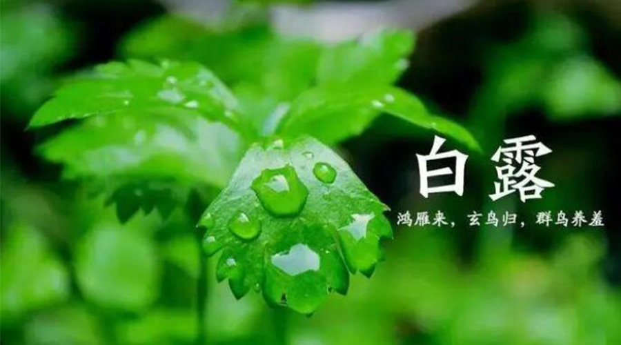 白露時節(jié)！金環(huán)電器提醒大家要注意的事項