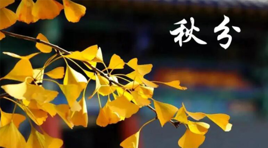 秋分時(shí)節(jié)！金環(huán)電器提醒大家要注意的事項(xiàng)