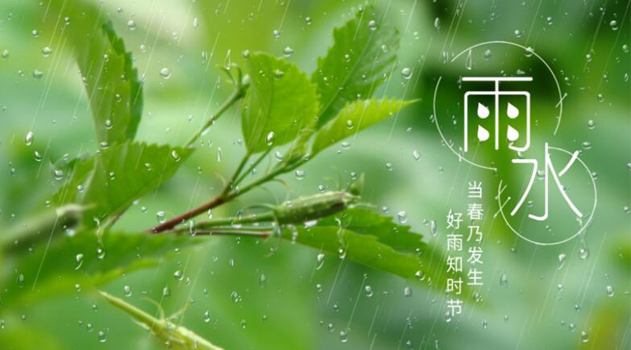 雨水時(shí)節(jié)！金環(huán)電器提醒大家要注意的事項(xiàng)