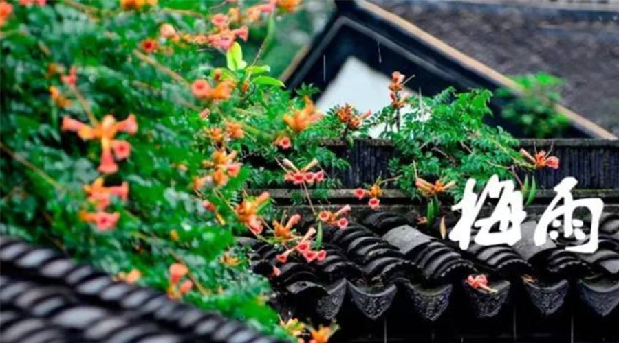 什么是梅雨？梅雨如何形成？  金環(huán)電器告訴你答案